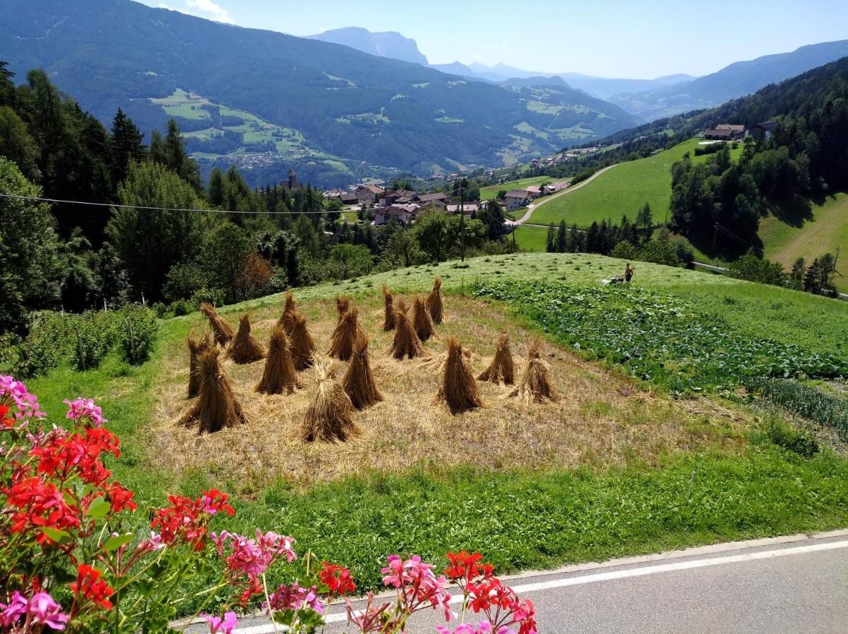 Obermoserhof Vila Feldthurns Exterior foto